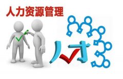 跨境人力资源公司:不同类型的企业概述